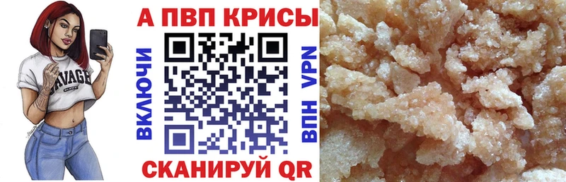 A PVP СК КРИС  Выкса 