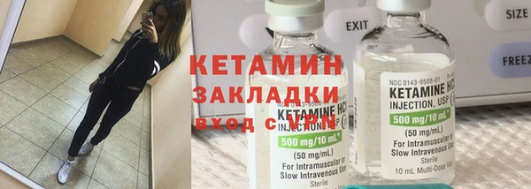 шишки Гусиноозёрск