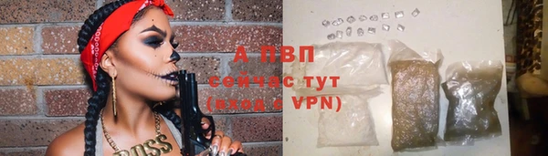 винт Дмитриев