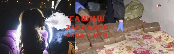 шишки Гусиноозёрск