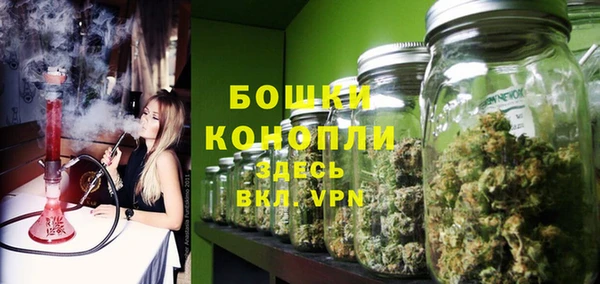 2c-b Гусев