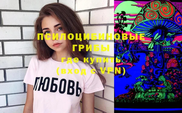 шишки Гусиноозёрск