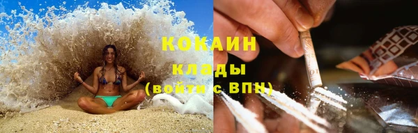 2c-b Гусев