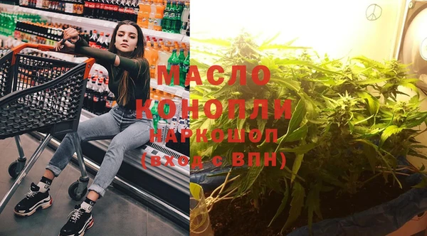 шишки Гусиноозёрск
