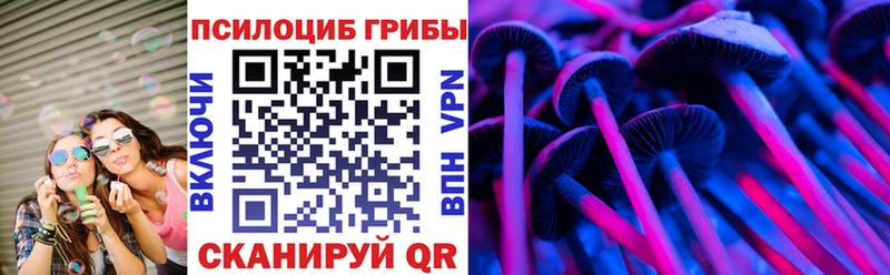 Псилоцибиновые грибы Psilocybine cubensis купить закладку Выкса
